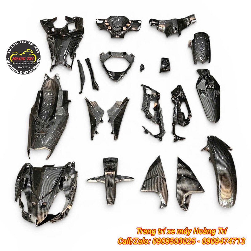 Sơn nhúng carbon dàn áo nhám Winner X