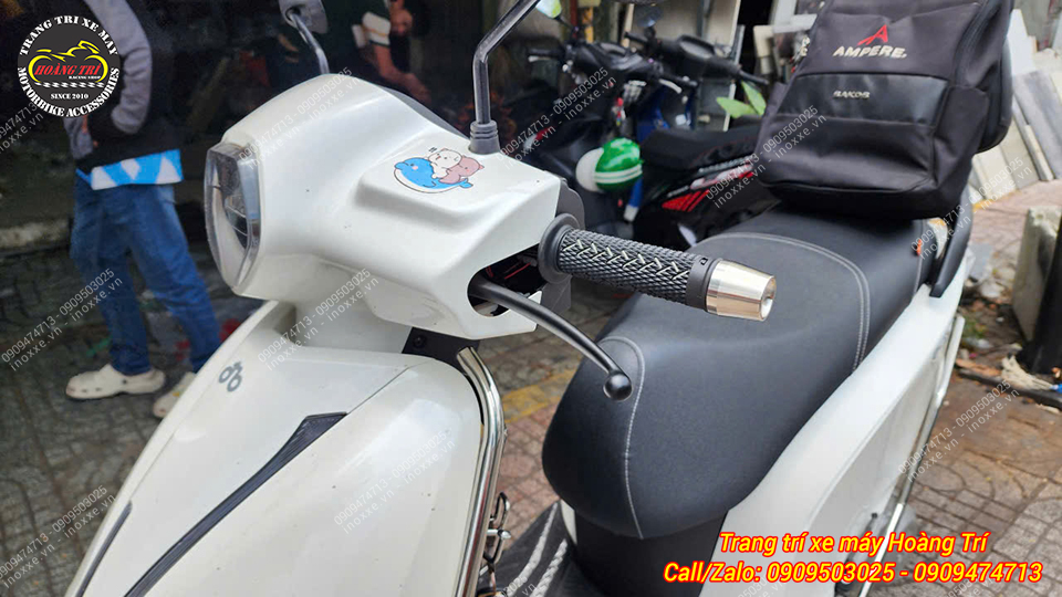 Bao tay, gù tay lái Dat.bike ERA